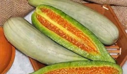 免费吃瓜黄钰杰,揭秘网络红人的崛起之路